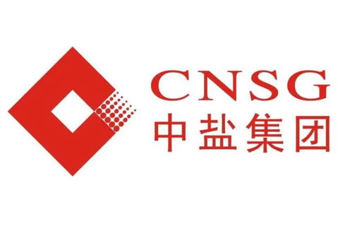 中盐东兴盐化股份